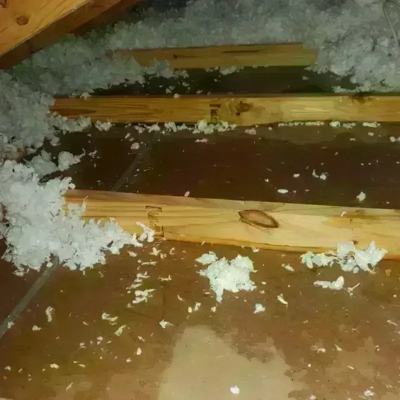 Attic Water Damage in West Marion, NC