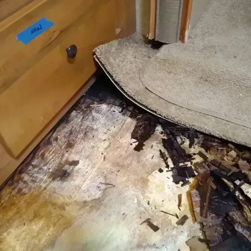 Wood Floor Water Damage in West Marion, NC